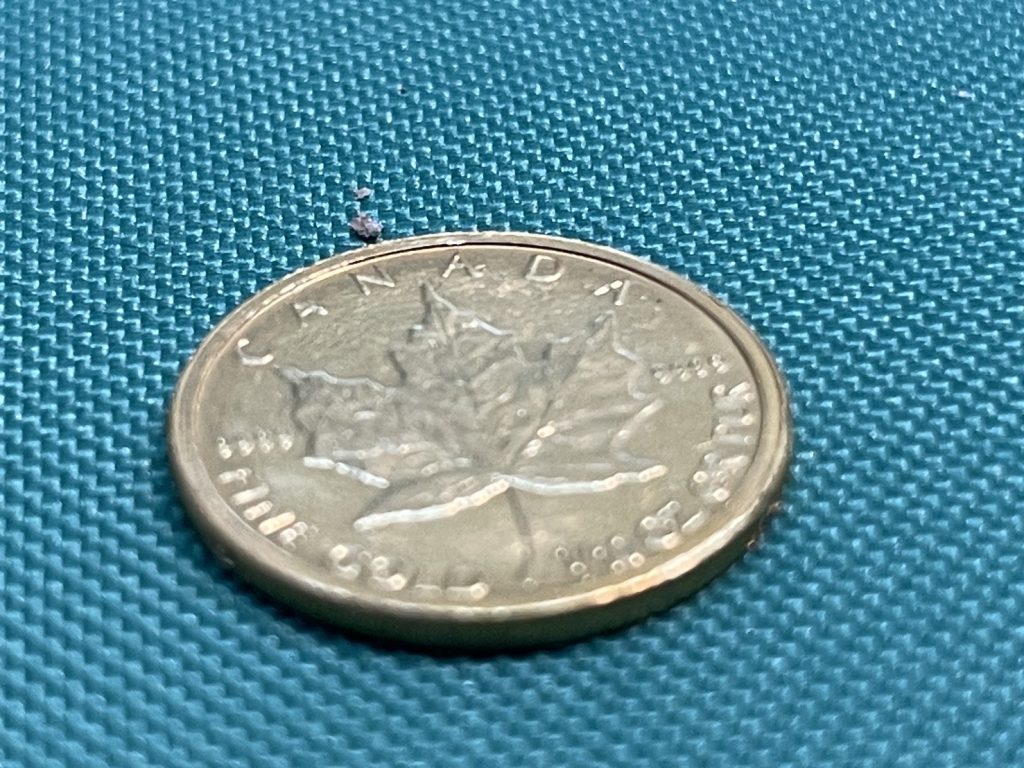 【催事】メイプルリーフ金貨 買取 K24 純金 1/10オンス 3.1g コーナン新大阪センイシティー店